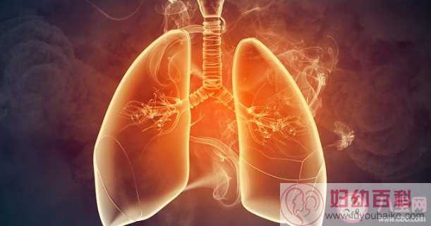 慢阻肺早中晚期症状有什么表现 慢阻肺有什么危害