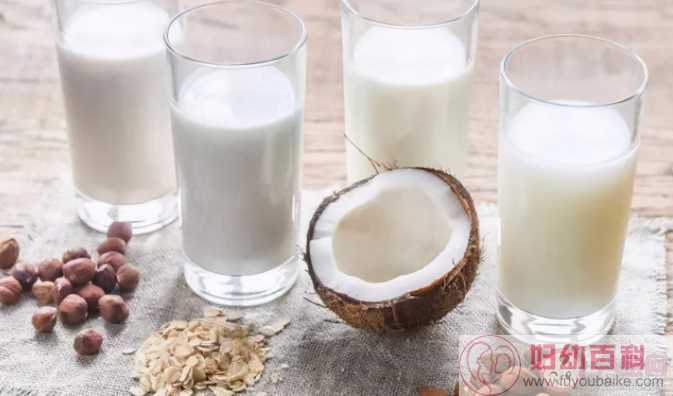 植物奶比牛奶更有营养吗 如何挑选好的植物奶