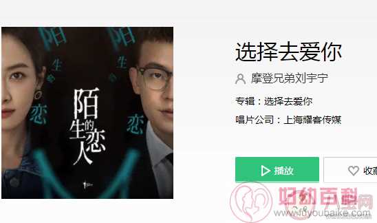 刘宇宁新歌《选择去爱你》歌词是什么 《选择去爱你》完整版歌词在线听歌