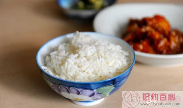 米饭/面条/馒头/哪个吃了不容易胖 减肥中十大主食的选择及食用建议