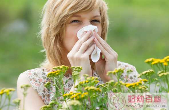 花粉过敏高发时间段什么时候 花粉过敏防治手册