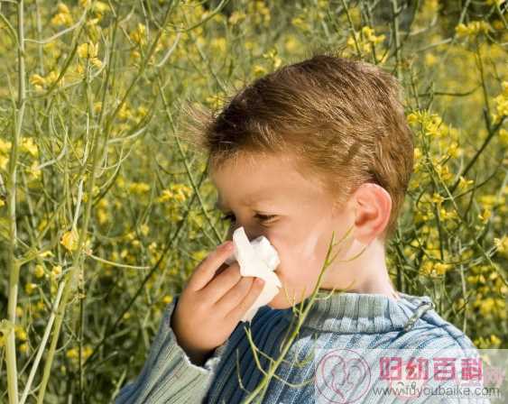 花粉过敏挂什么科 严重的花粉过敏有哪些后果