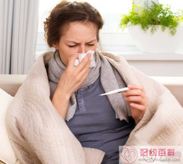 人在感冒发烧时容易没有胃口主要因为什么 蚂蚁庄园7月22日答案
