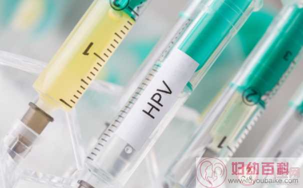 14价HPV疫苗可以预防哪些HPV病毒 14价HPV疫苗保护率是多少