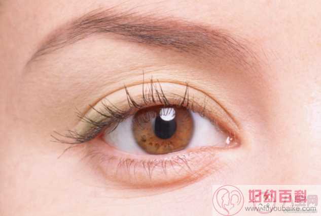 双眼皮手术会影响视力吗 双眼皮术后眼睛充血正常吗