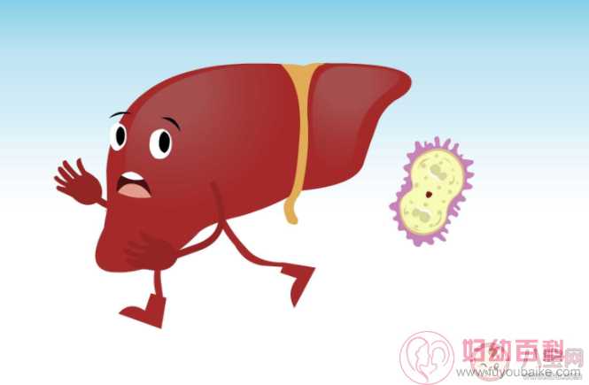 2021年世界肝炎日宣传主题是什么 关于肝炎的相关知识科普