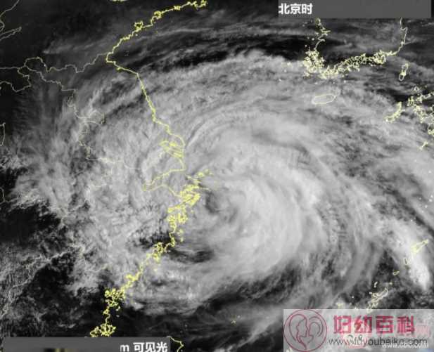 台风天气避险指南思维导图 身处台风登陆地应该做什么