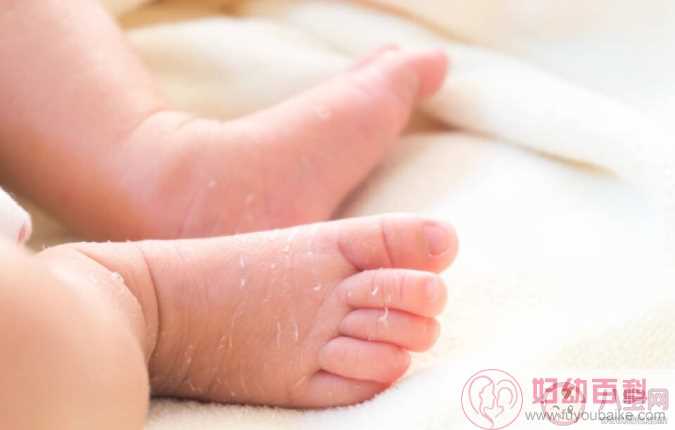 新生宝宝蜕皮后可以洗澡吗 为什么新生儿会出现脱皮