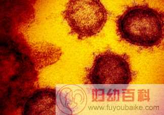 美国近20年来出现首例猴痘病毒病例 猴痘病毒有什么症状表现