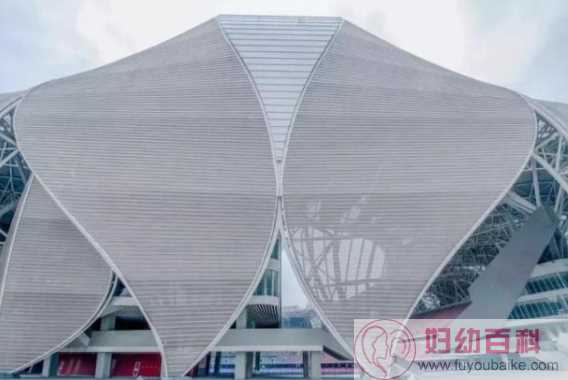 2022​杭州亚运会的主场馆像一只什么 蚂蚁庄园8月7日答案