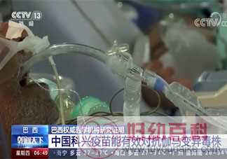 中国科兴疫苗能有效对抗伽马变异毒株 新冠疫苗能起到哪些作用