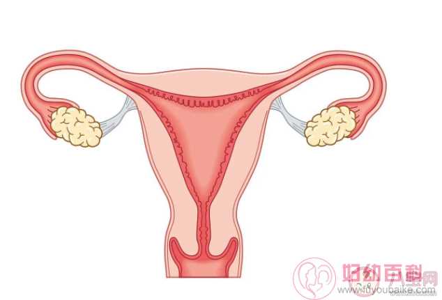 卵巢衰老的信号有哪些 如何预防里卵巢早衰