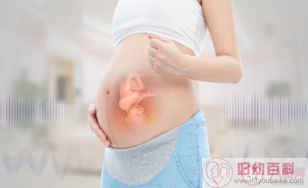 胎动位置为什么总是偏向一边 不同孕期胎动的情况如何