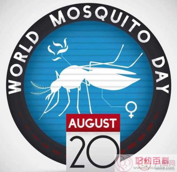 世界蚊子日是怎么来的 蚊子都喜欢晚上咬人吗