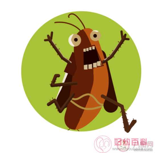 为什么家里的蟑螂就是杀不干净 怎么有效消除家里的蟑螂