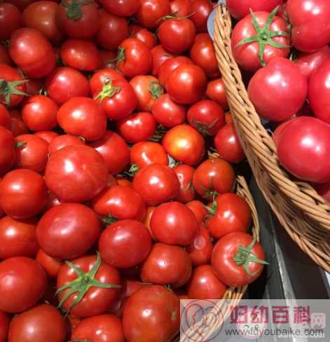 大小番茄哪个热量更高 小番茄大番茄哪个更有营养
