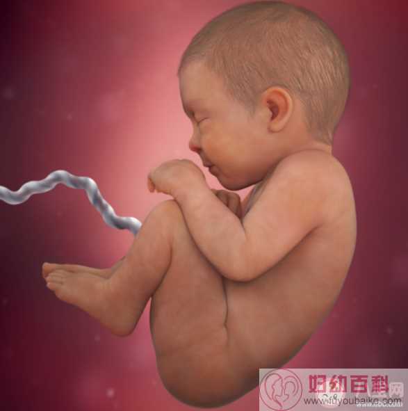 孕期羊水过多什么情况要终止妊娠 急性羊水过多和慢性有什么区别