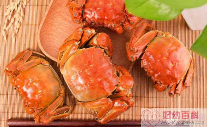 怎么买到新鲜的螃蟹 安全吃螃蟹注意这四点