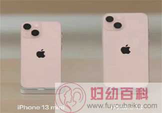 粉色版iPhone13近六成被男性购买 为什么男生更喜欢粉色