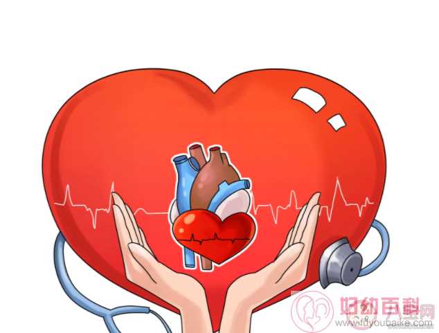 哪些症状是心脏的求救信号 心血管疾病怎么预防
