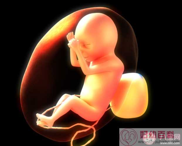 胎儿在肚子里会痛会无聊吗 胎儿10大神奇知识