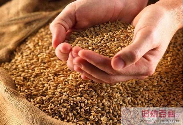 中国最早的小麦栽培距今多少年 蚂蚁庄园10月22日每日一题答案