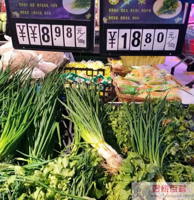 青菜为什么比肉贵了 蔬菜价格什么时候正常