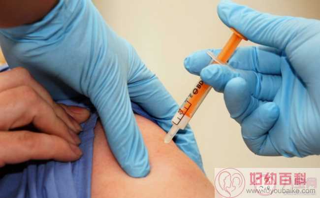 流感疫苗接种必须间隔满一年吗 流感疫苗多次接种会不会降低免疫力