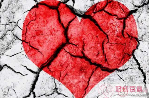 感到心痛时心脏可能正在变形 心真的会碎吗