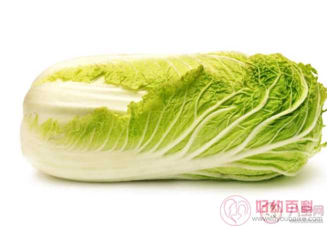 白菜长黑点还可以吃吗 大白菜青绿叶和黄白叶哪种更好吃