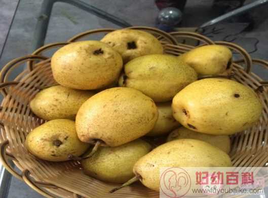 晶黄果品牌是青海省哪个县的著名商标 蚂蚁新村12月15日答案最新