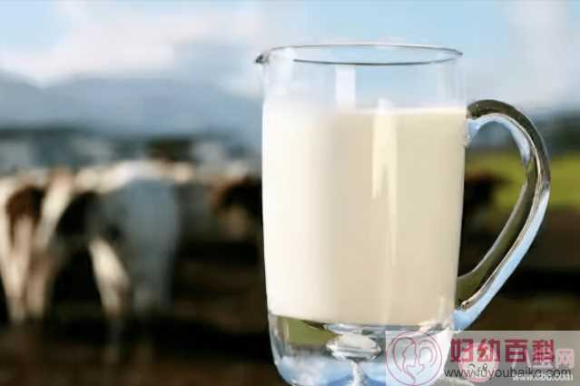 孩子喝牛奶有必要加糖吗 儿童牛奶就是儿童纯牛奶吗