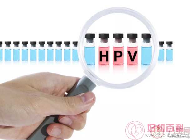 HPV疫苗为何仍供不应求 2022年九价疫苗将大幅增加供应量吗