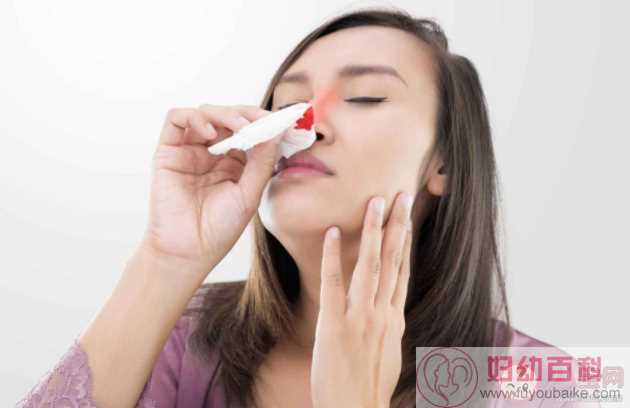 孕期为什么容易流鼻血 如何预防鼻出血