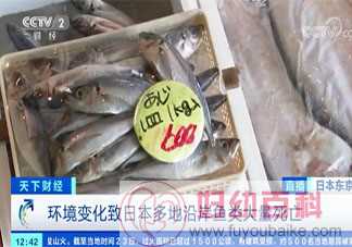 日本秋刀鱼价格暴涨 秋刀鱼营养价值怎样