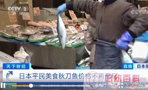 日本秋刀鱼价格暴涨 秋刀鱼营养价值怎样