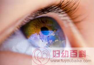 经常转眼球可以降低度数吗 角膜塑形镜能矫正近视吗