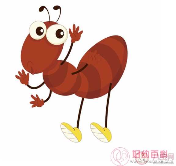 蚂蚁在冬季消失是因为需要冬眠吗 蚂蚁是如何过冬的
