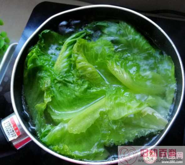 减肥只吃水煮菜会怎样 水煮蔬菜的正确打开方式
