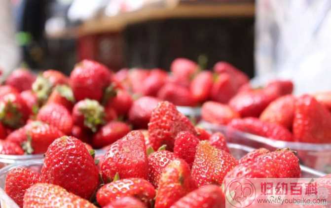 草莓会打激素孩子吃了会性早熟吗 草莓掉色是因为染色过重吗