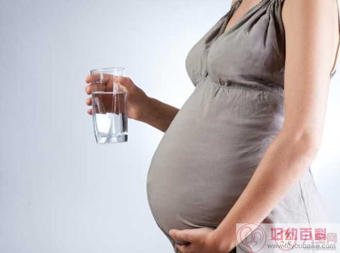孕妈补水该怎么做 孕妈如何才算科学补水