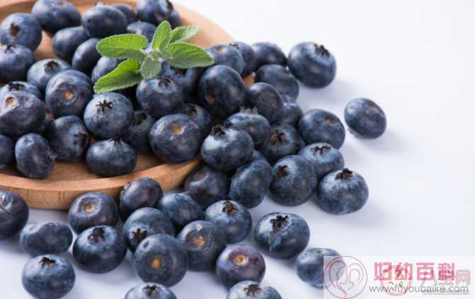 蓝莓上的白霜越多越新鲜吗 野生蓝莓和种植蓝莓哪种营养更好