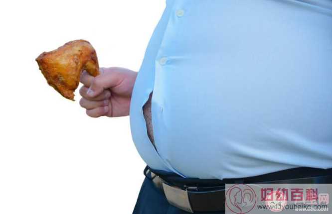 胖人就一定营养过剩吗 怎样改变胖却营养不良的情况