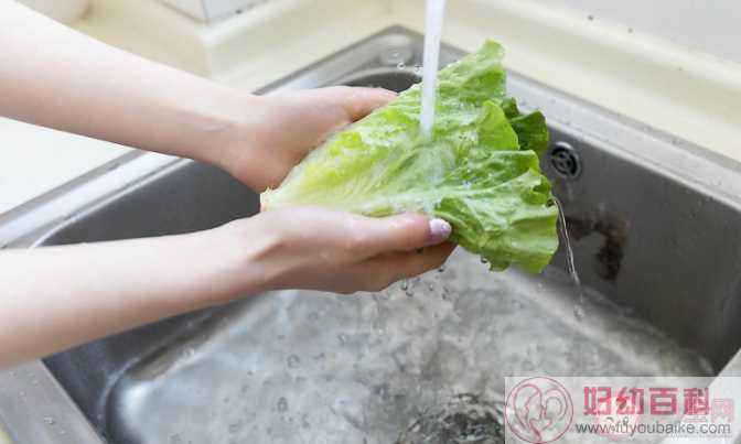 盐水和淀粉哪个洗菜更干净 菜应该先洗后切还是先切后洗