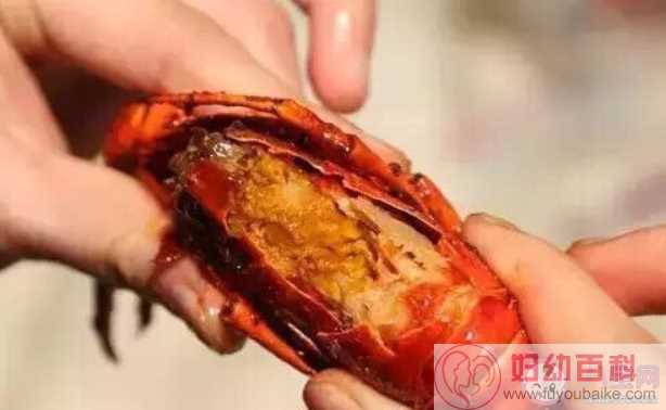 医生建议吃小龙虾1个人不要超过1斤 小龙虾怎样吃更健康