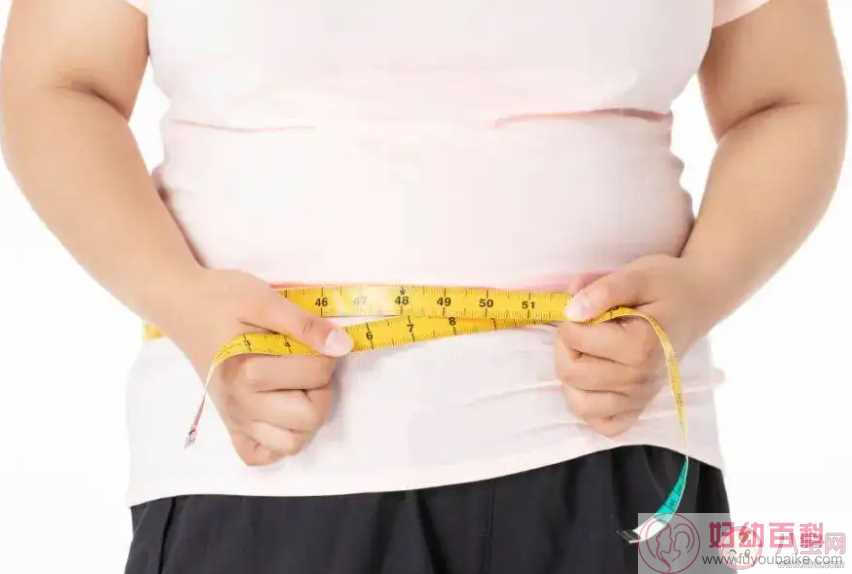 如何衡量自己的胖瘦 想长寿要怎么做
