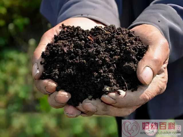 黑土是因为土壤中含有充分的腐殖质所以黑吗 蚂蚁新村5月12日正确答案
