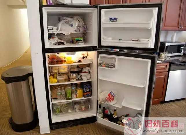 如何选择一款合适的冰箱冷柜 冰箱冷柜收纳你做对了吗
