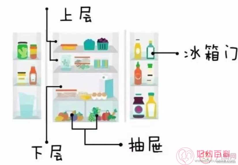 冰箱冷柜应该如何收纳 冰箱和冰柜产品怎么选