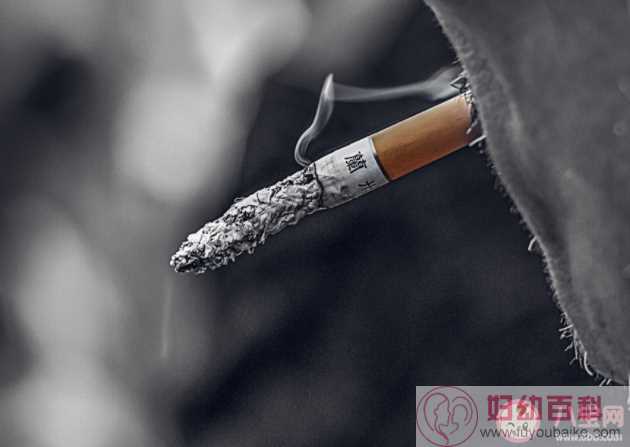 吸烟会影响男性生育功能吗 男性长期吸烟会对生殖系统有哪些影响